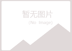 岐山县曹哥工程有限公司